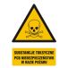 GF008 BK PN - Znak "Substancje toksyczne. Niebezpieczeństwo w razie pożaru"
