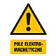 Znak GF002 - "Pole elektromagnetyczne" - 10x15cm; płyta 1mm
