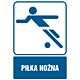 Piktogram RD010 - "Piłka nożna" - 15x22,5cm; płyta 1mm