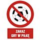 Znak GC049 - "Zakaz gry w piłkę" - 15x22,5cm; płyta 1mm