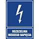 Znak "Rozdzielnia niskiego napięcia"