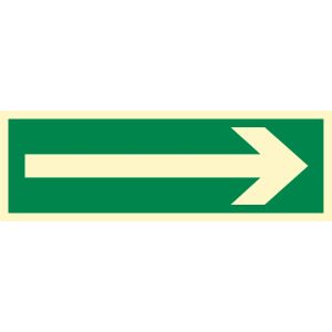 AA008 CE TS - Znak "Kierunek drogi ewakuacyjnej"
