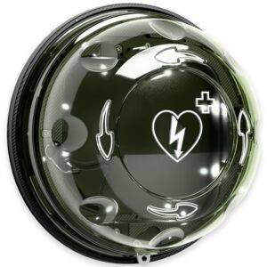 Szafka ROTAID zewnętrzna z alarmem - Solid Plus Heat Transparent Green Alarm