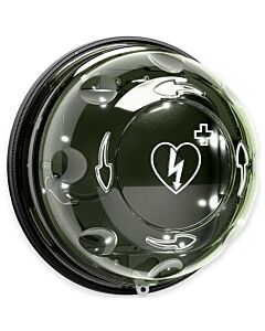 Szafka ROTAID zewnętrzna z alarmem - Solid Plus Heat Transparent Green Alarm